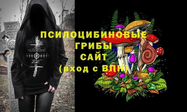 прущий лед Алзамай