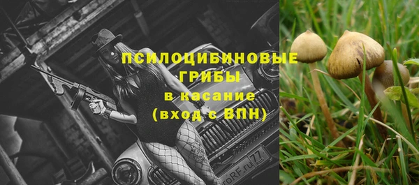 Альфа ПВП Абаза